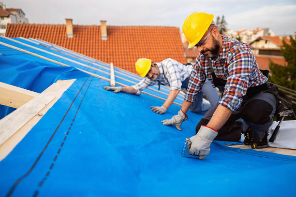 Best Roof Gutter Cleaning  in Edgemere, MD