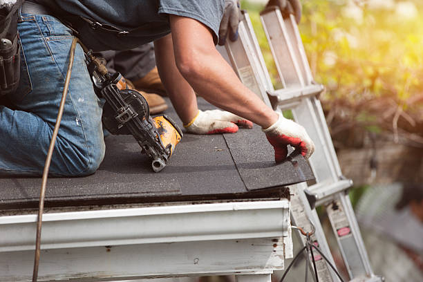 Best Roof Gutter Cleaning  in Edgemere, MD